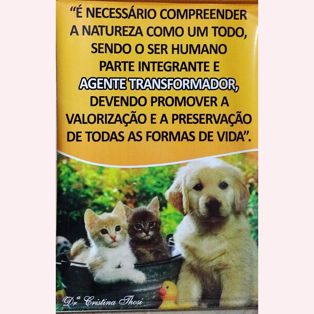 Danieldymoura's tweet photo. Se temos aversão , e nos compadecemos do sofrimento imposto aos animais por vezes fracos e indefesos, então podemos nos considerar HUMANOS.
Dra. Cristina Thosi

 Daniel Moura
Em defesa da vida🐾 https://t.co/iWb8k5DE3c