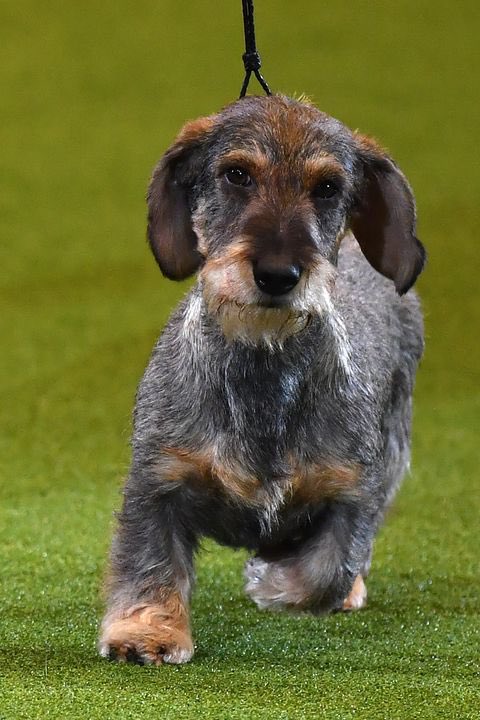 Clare Balding 💙 tweet media