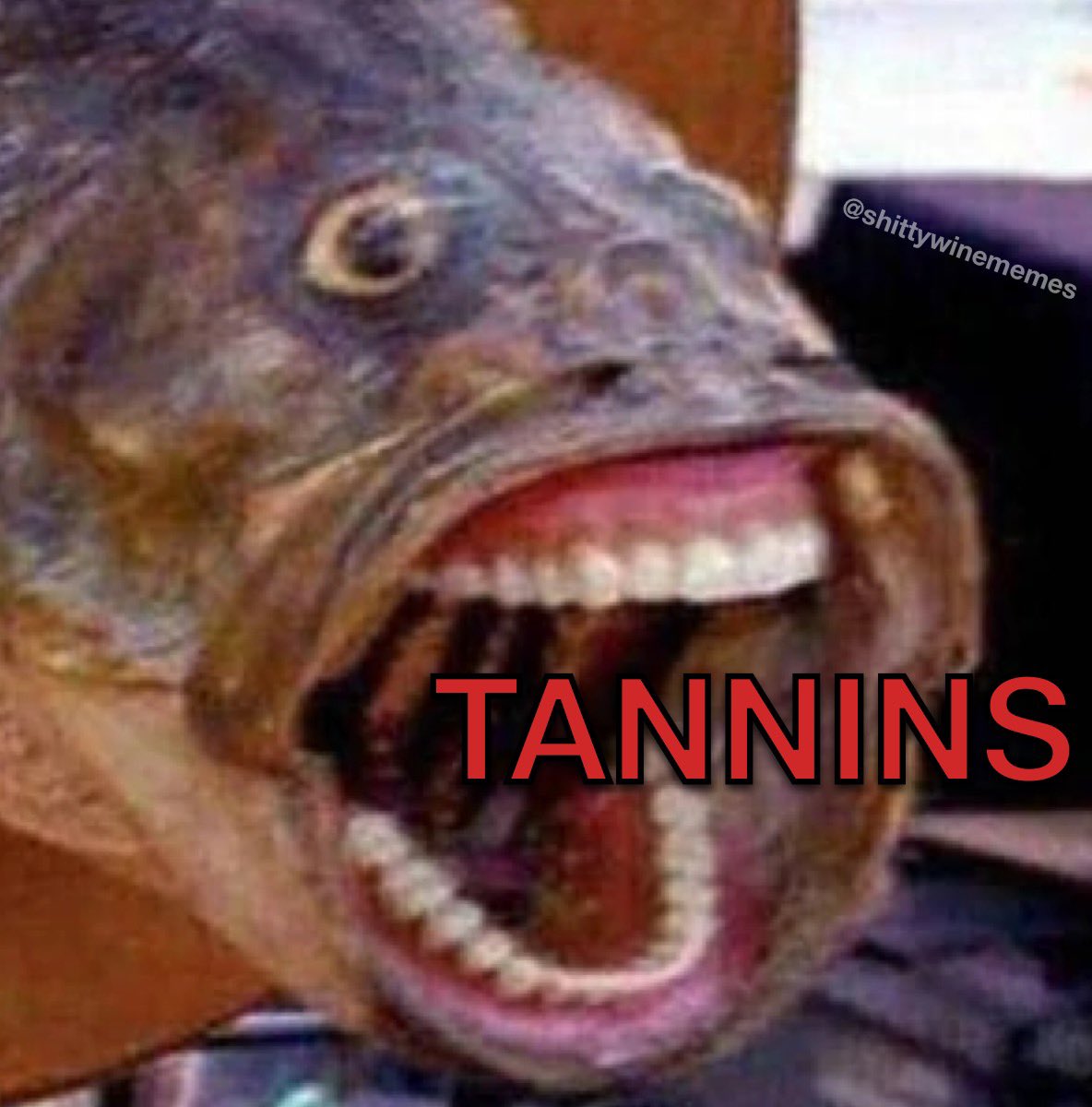 Shitty Wine Memes (@shittywinememes) on Twitter photo 