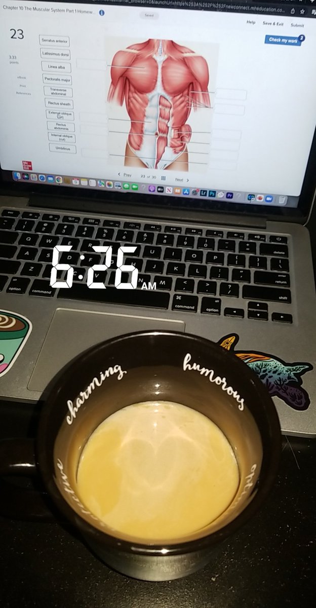 Zestyprobs's tweet photo. Woke up at 4:40am and had a super productive morning. I have soo much time, it's nice to not rush๐ฅฐ๐
#study #Medstudent #futureradtech #earlybird https://t.co/bM21MxGWqd