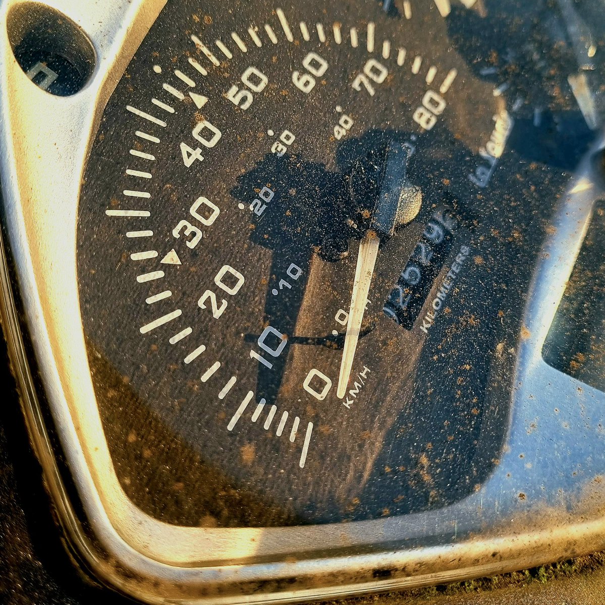 jamesinams's tweet photo. 9-3-22
#speedo #needsaclean #photography https://t.co/vsDciSro1e