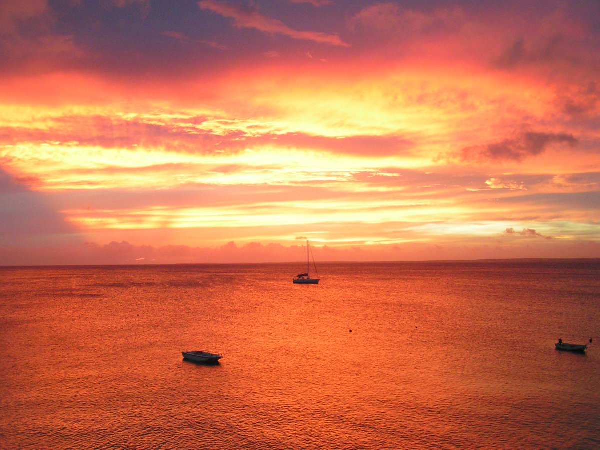 Rogier de Moel tweet media