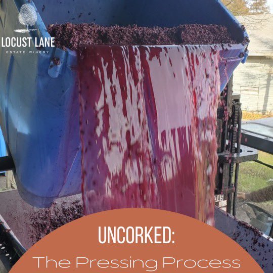 Winemaking isn’t as simple as transferring grapes from a vine to a bottle. After the crushing and de-stemming process, the presser comes in, which ensures every last drop is squeezed out of the grapes. After all, more juice = more wine! 🍷🍇 
#Uncorked #LocustLane #OntarioWine