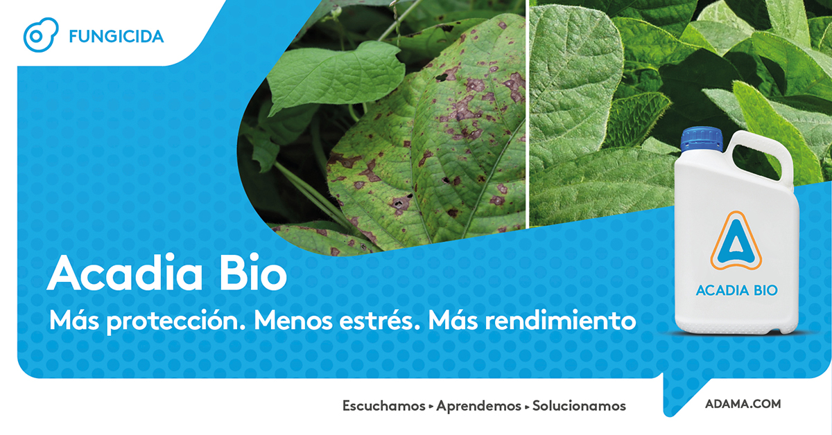 AdamaArgentina's tweet image. Controlá las principales enfermedades de la soja con #AcadiaBio, único fungicida con tecnología antiestrés. Conocé más 🔗 bit.ly/3vP0y2u 🌱