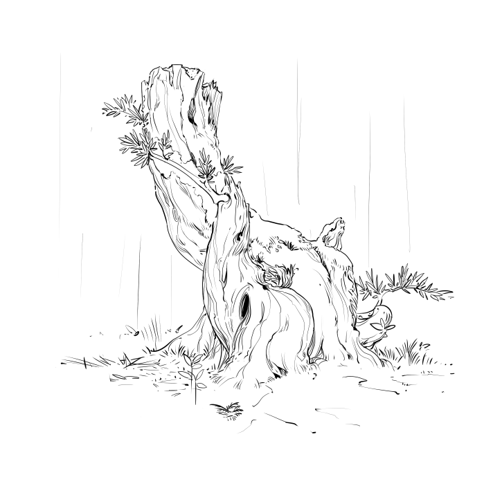 Some of todays drawing :)