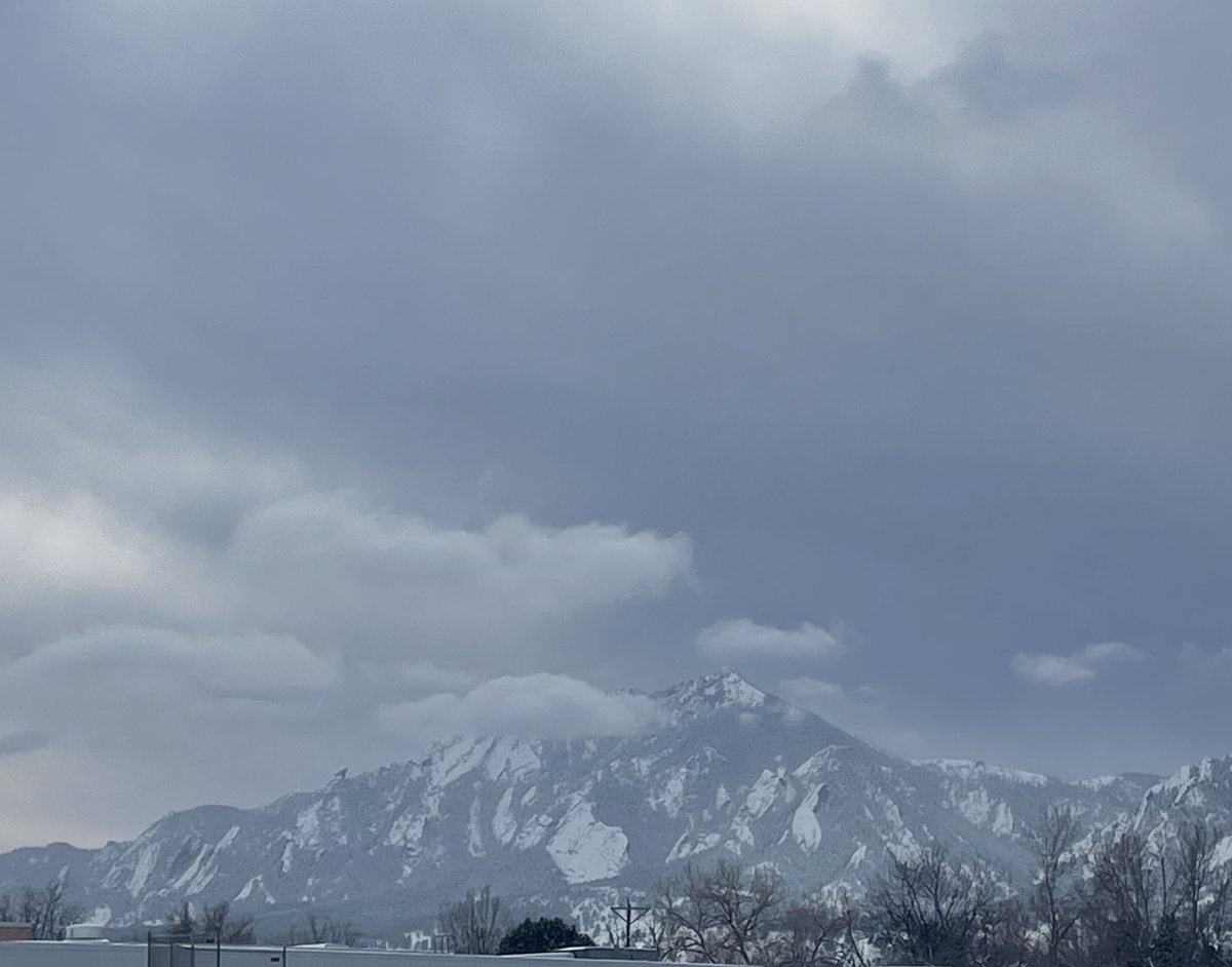 sophiakb_writes's tweet image. Snow disrupts my spring, again.

#spring #snowinmarch #springincolorado #writingcommunity #querying #amquerying