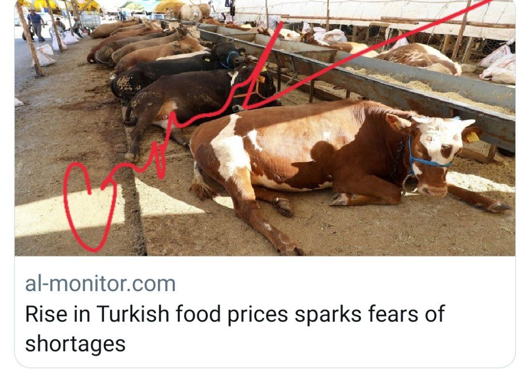 seyyahikevir's tweet photo. Su kıtlığı-kuraklık yüzünden,
Türk gıda fiyatlarındaki 
%17 artış kıtlık korkusuna neden oldu...!!
HALA GIDA STOKU YAPMAMAKTA KARARLIMISINIZ??
#KüreselKıtlıkKapıda
#Eppihiliaprincesskenndy https://t.co/C7v5Xl9QOf