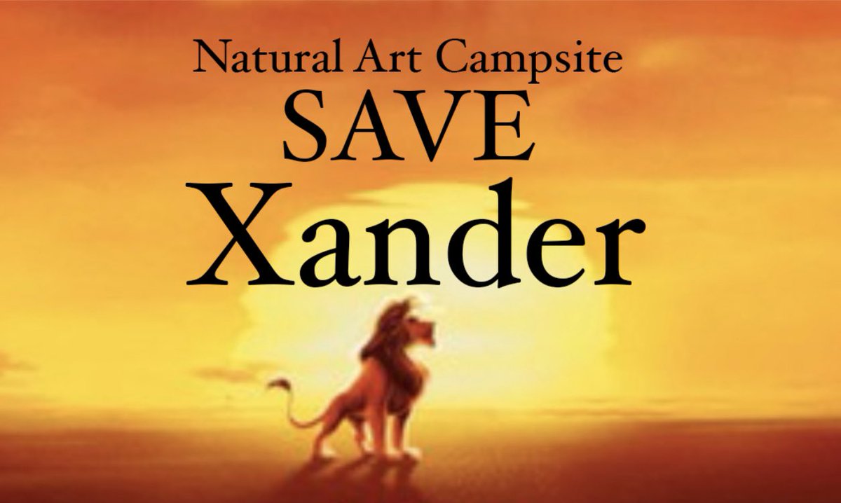 XanderBBTG's tweet photo. Please consider saving me today in Natural Art Campsite. I would like to make it to Final 3 to see what the jury thinks of my game 🙏🏽❤️ #SaveXander https://t.co/ZbdJPy96tL