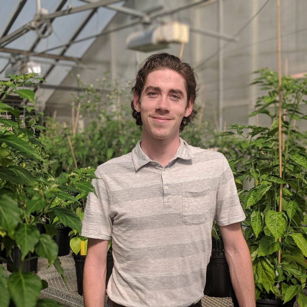 Ohio State Horticulture and Crop Science tweet media