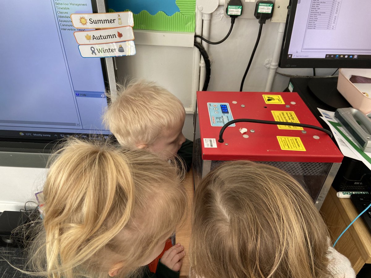 Foundation1wan1's tweet photo. Pleased to announce that we have three eggs that have hatched. The children have been mesmerised by them and can’t wait for a cuddle tomorrow. Xx #wansbeckprimary https://t.co/mtfXnqVjdl