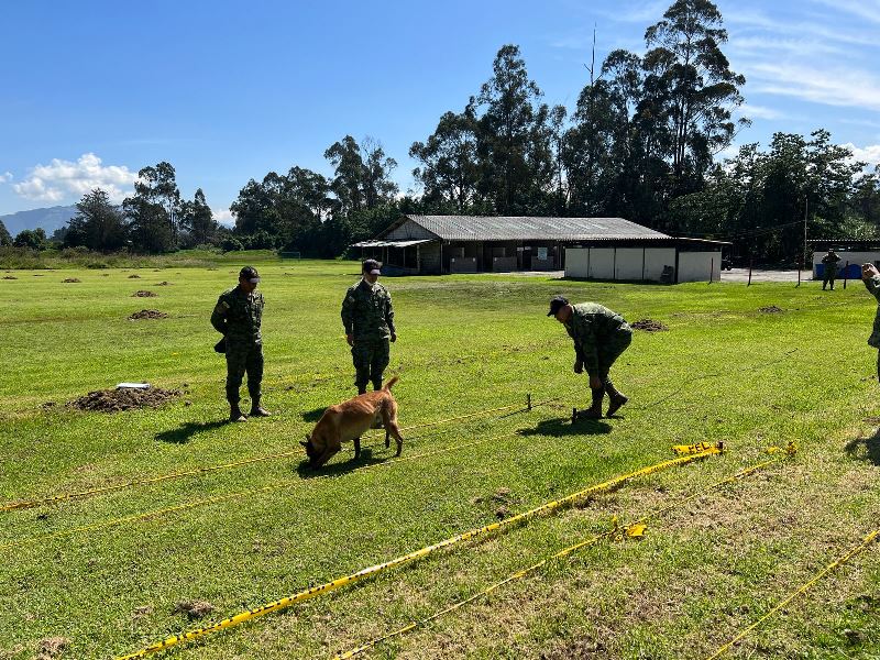 EjercitoECU's tweet photo. La escuadra canina del Batallón de Ingenieros N.° 68 Cotopaxi recibe instrucción de búsqueda, detección y colocación de explosivos y minas en un posible campo minado; además de entrenamiento de extinción y recordatorio con operadores caninos y perros desminadores.
#EjércitoECU https://t.co/ggv1hAa7MI