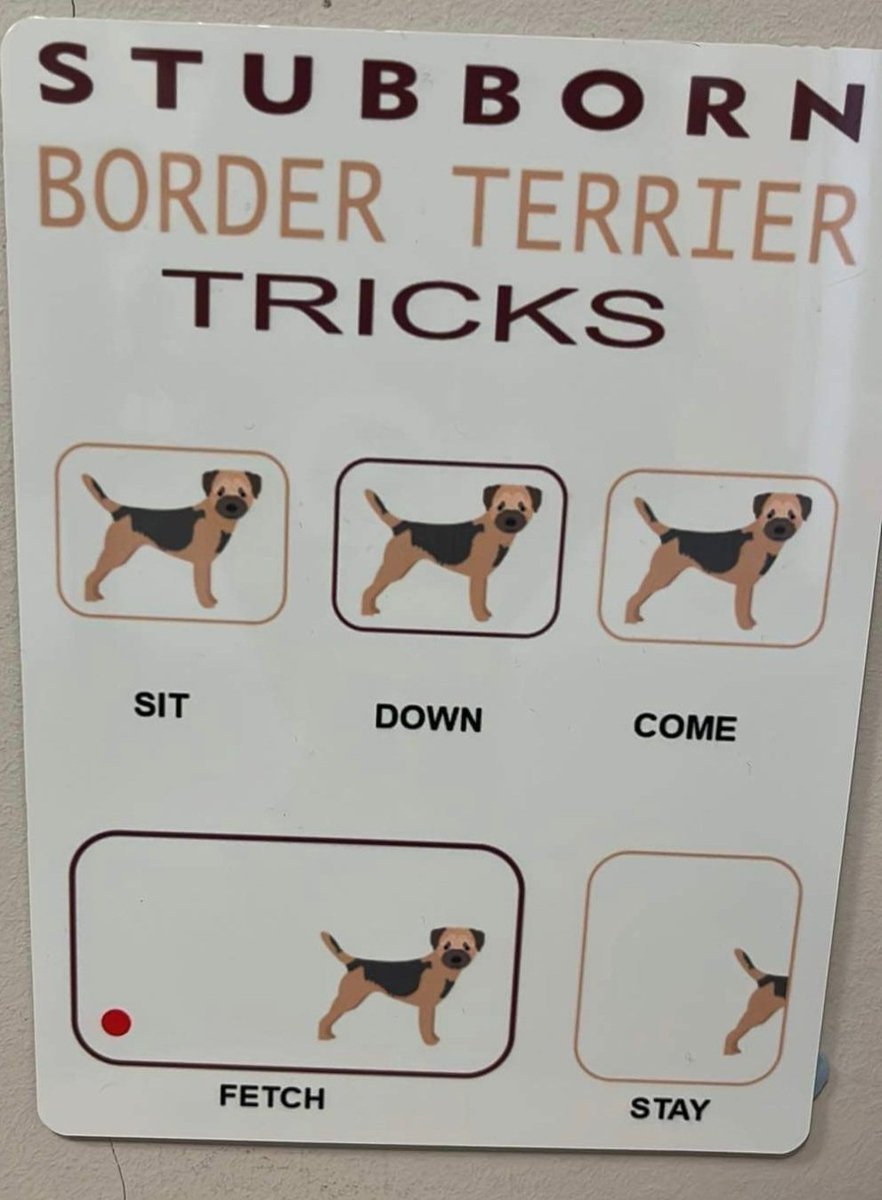 Aren't we a bery clever bunch ? 
#btposse