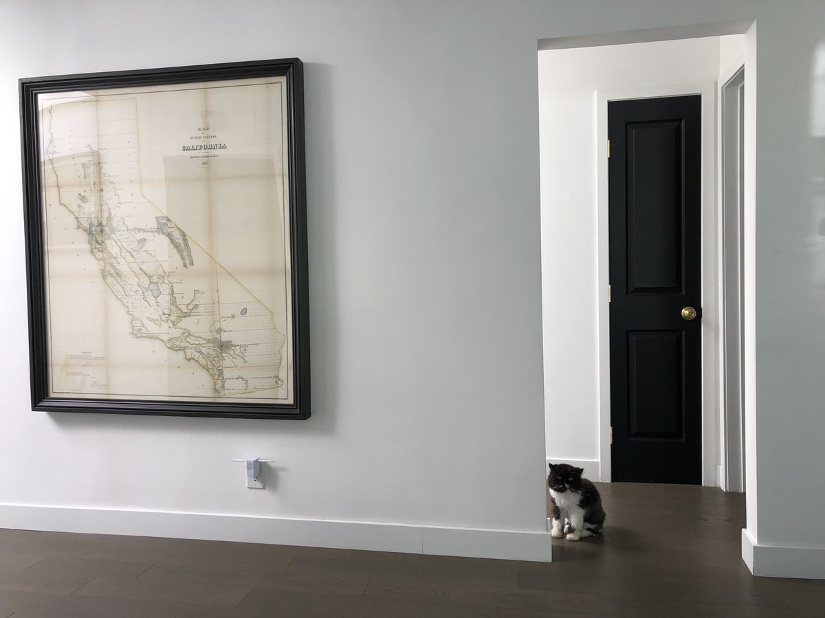 MigsRunner's tweet photo. Cats that match the decor provide for natural camouflaging. #CatAndHome #catsofTwitter #CatsOnTwitter #MIGSlife #gynfluencer https://t.co/fESB7Iyj6I