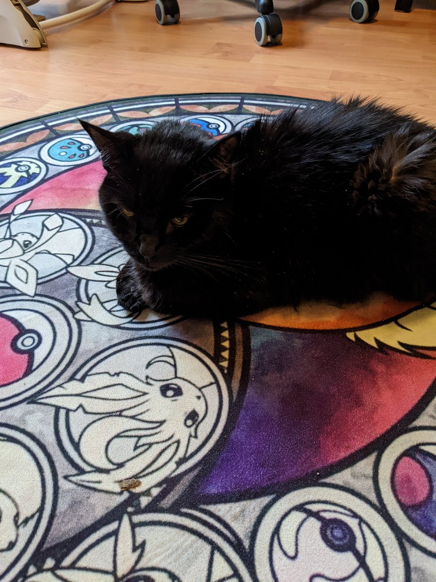 MelizBee's tweet photo. Had a very emotional past few days.
My kitty got real sick all of a sudden and we thought we were going to lose him.
They suspected kidney cancer at first but after an ultrasound it was determined that it was polycystic kidneys.
Thankfully this is treatable with medications. https://t.co/YBYTFJXNSe