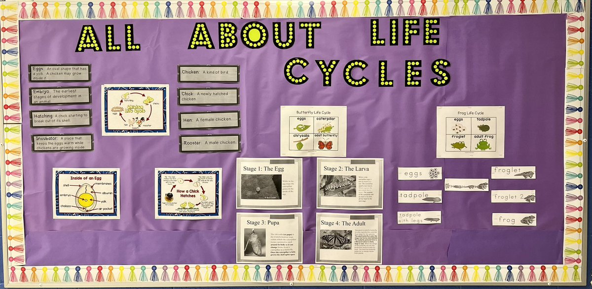 2nd grade is excited about life cycles! We can’t wait to watch a live life cycle! <a href="/MimosaManatee/">Mimosa Elementary</a> <a href="/FultonCoSchools/">FultonCountySchools</a> <a href="/FCS_SEC/">FCS SEC</a>