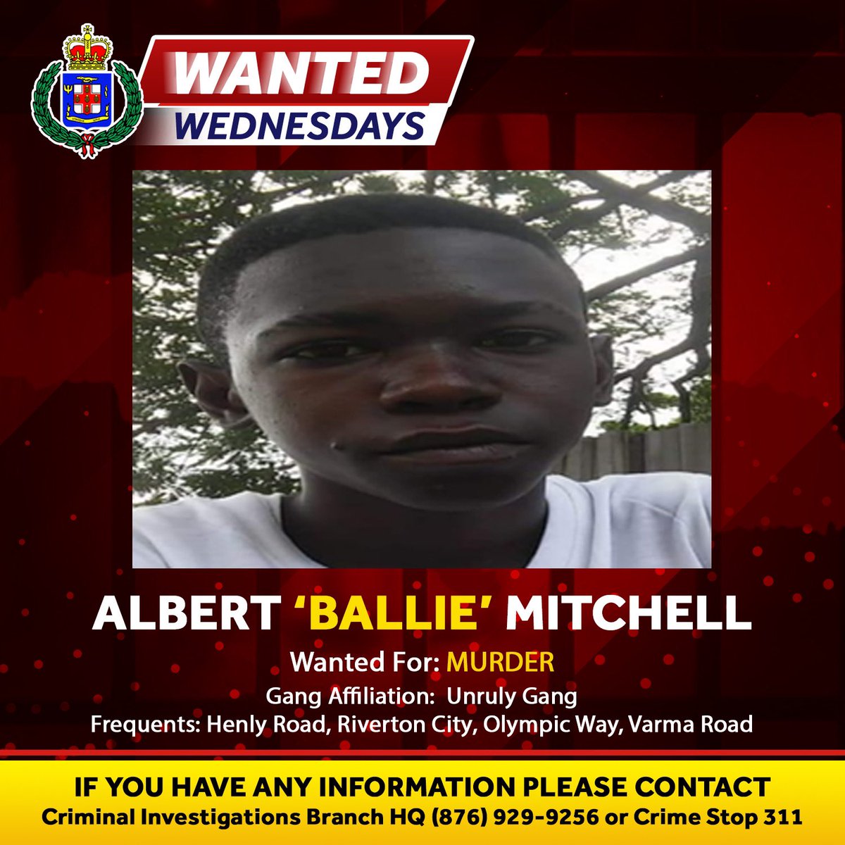 JamaicaConstab's tweet image. Albert decided to be a part of a gang and commit a heinous crime. Now, Albert is wanted by the police. 

Don’t be like Albert.