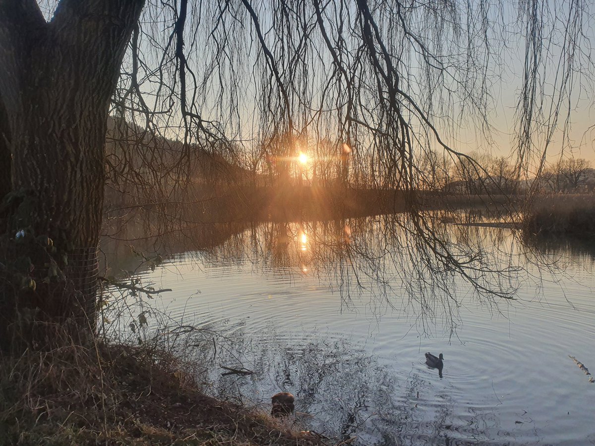 neverbar's tweet photo. Abends am #Wohlensee #Aare @barbaraTschirre https://t.co/eg1gW2PNxN