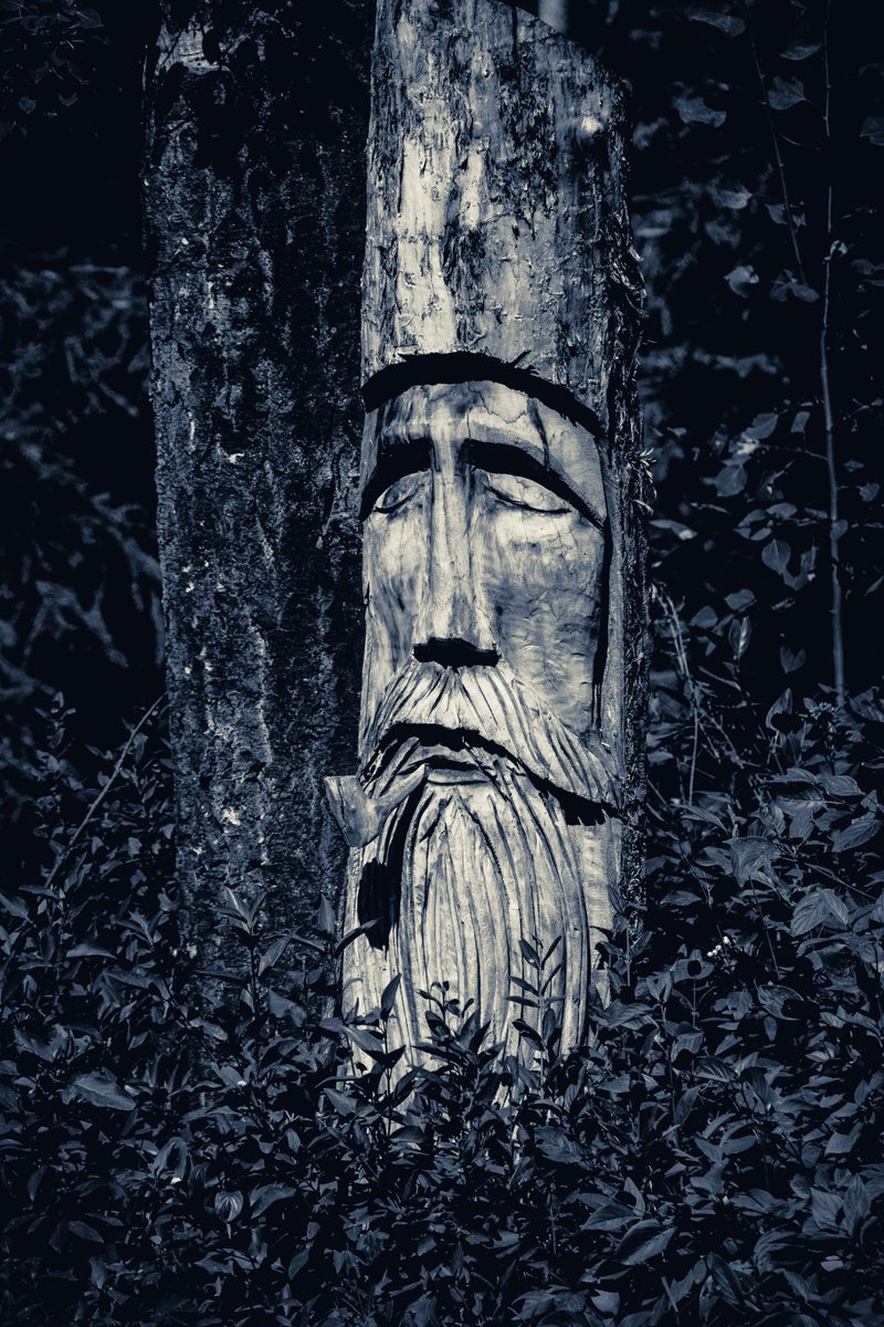ValleyHillPhoto's tweet photo. What #Wisdom  to do you think could be passed on?
#naturelovers #blackandwhitephotography https://t.co/AHNhOG3dCF
