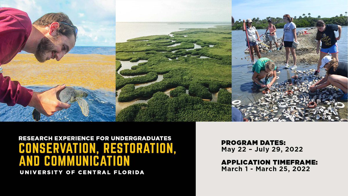 🚨 Don’t forget! The deadline for applying to our NEW #NSF_REU summer program is March 25th. To learn more, click the link below. 

Watch this feed for highlights on hosting labs and exciting REU research opportunities! 🐸🌻🐢 🩸🧬🦠🦪🌊🐟🐙🐝🌱 &amp; more!

sciences.ucf.edu/biology/reu/