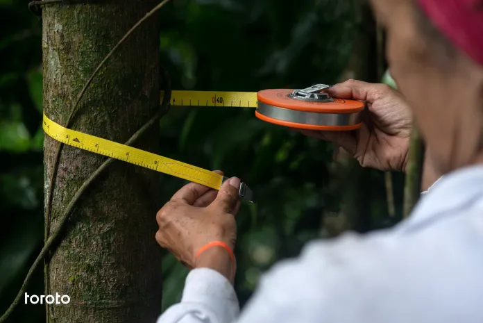 SoyValor's tweet photo. #ComunicadoDePrensa: #Toroto lanza Metaregistro para optimizar el mercado de bonos de carbono 👏
Lee más aquí 👉 https://t.co/kNDmjt1Fut https://t.co/szdpkmw70J