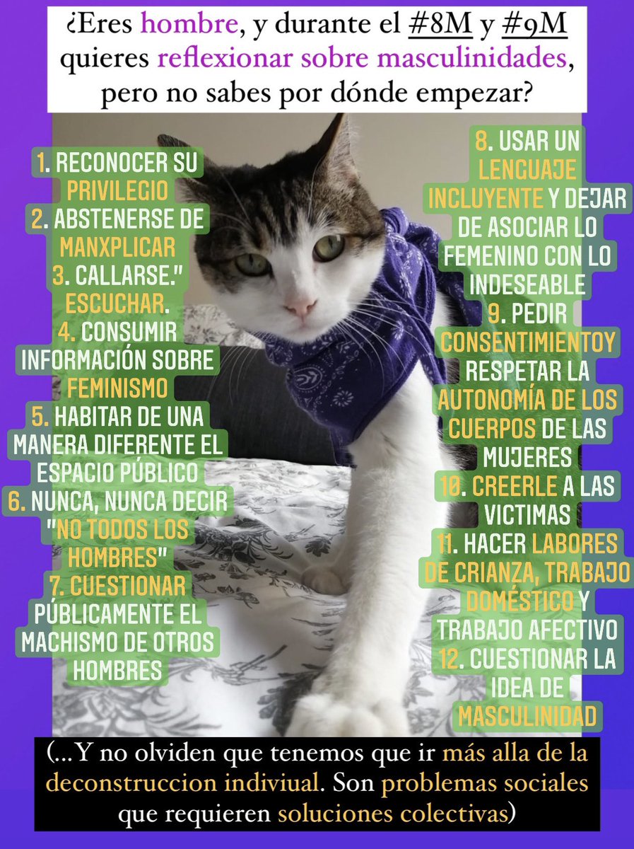 Gatitos contra la Desigualdad tweet media