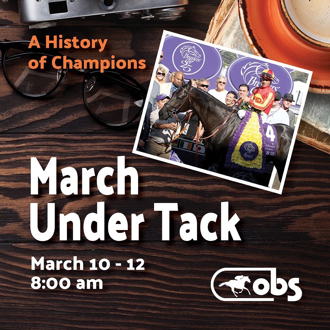 OBSSales on Twitter "Big day tomorrow! 🐎 The Under Tack Show for the