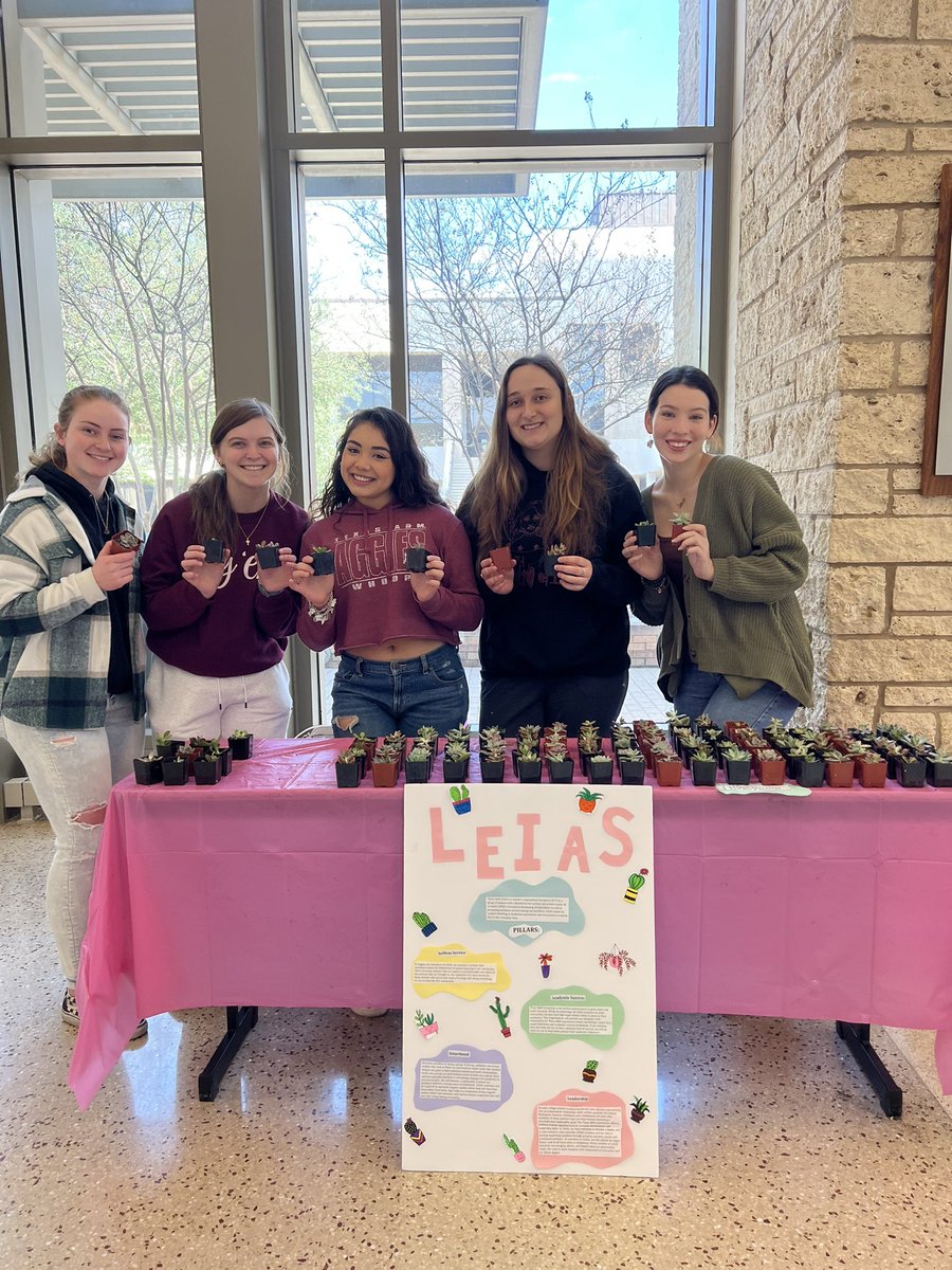 Come say hi at the MSC and get some succulents!