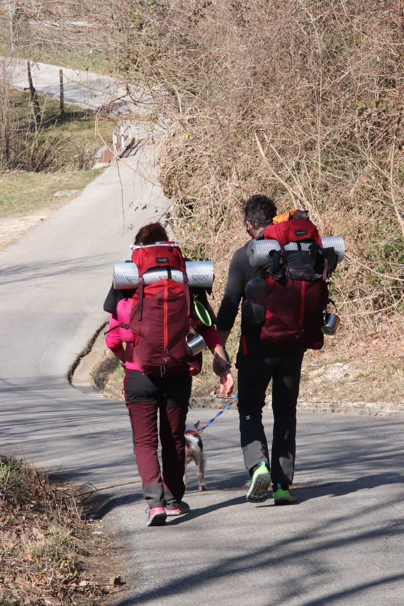 CamminoCeleste's tweet photo. ⭕ ... e si riparte‼️
👉 Mary, Luca, Aki scendono da Restocina per risalire a #Castelmonte, passando per #Albana https://t.co/ZTn62D4UM4