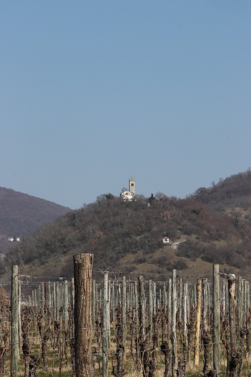 CamminoCeleste's tweet photo. ⭕ ... e si riparte‼️
👉 Mary, Luca, Aki scendono da Restocina per risalire a #Castelmonte, passando per #Albana https://t.co/ZTn62D4UM4