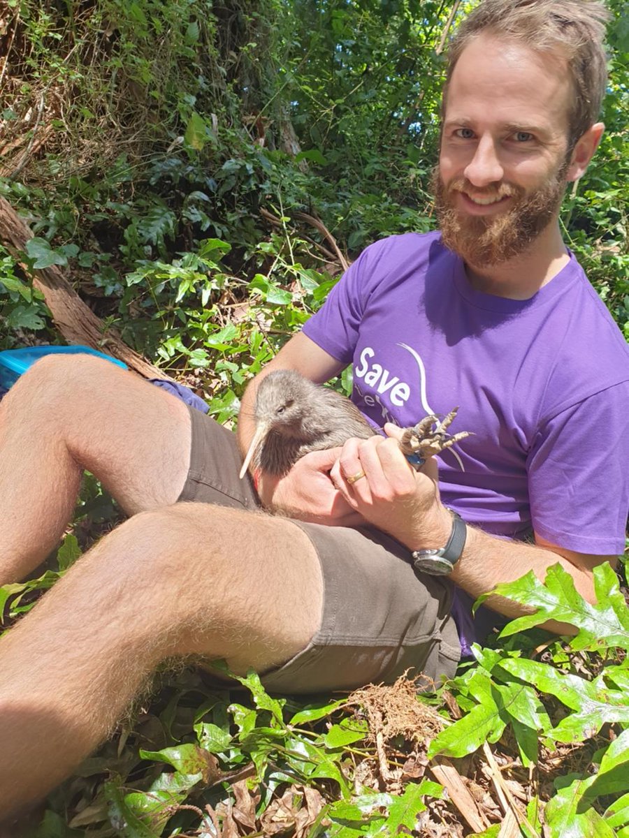 We’ve really hit it out of the park with this one! We are excited to announce that New Zealand cricket captain Kane Williamson has joined the Save the Kiwi team as an ambassador #savethekiwi