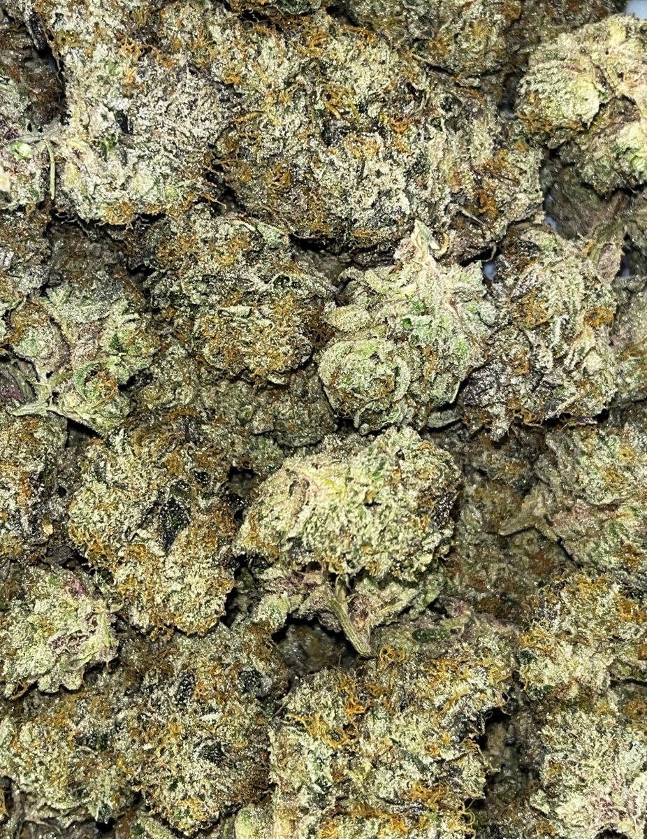 KingsGardenInc's tweet photo. Wedding Gushers 👑 How it started vs how it’s going!

#KingsGarden #RoyalBotanicals #TheKingsWay #KingofWeed #WhenQualityMeetsQuantity #KingsGardenFamily https://t.co/q4MKdaR1Qs