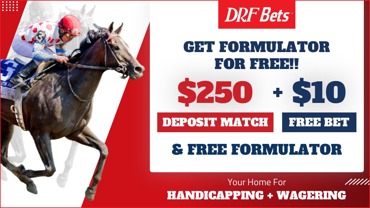 Daily Racing Form on Twitter: "Have you been curious, but haven't ...