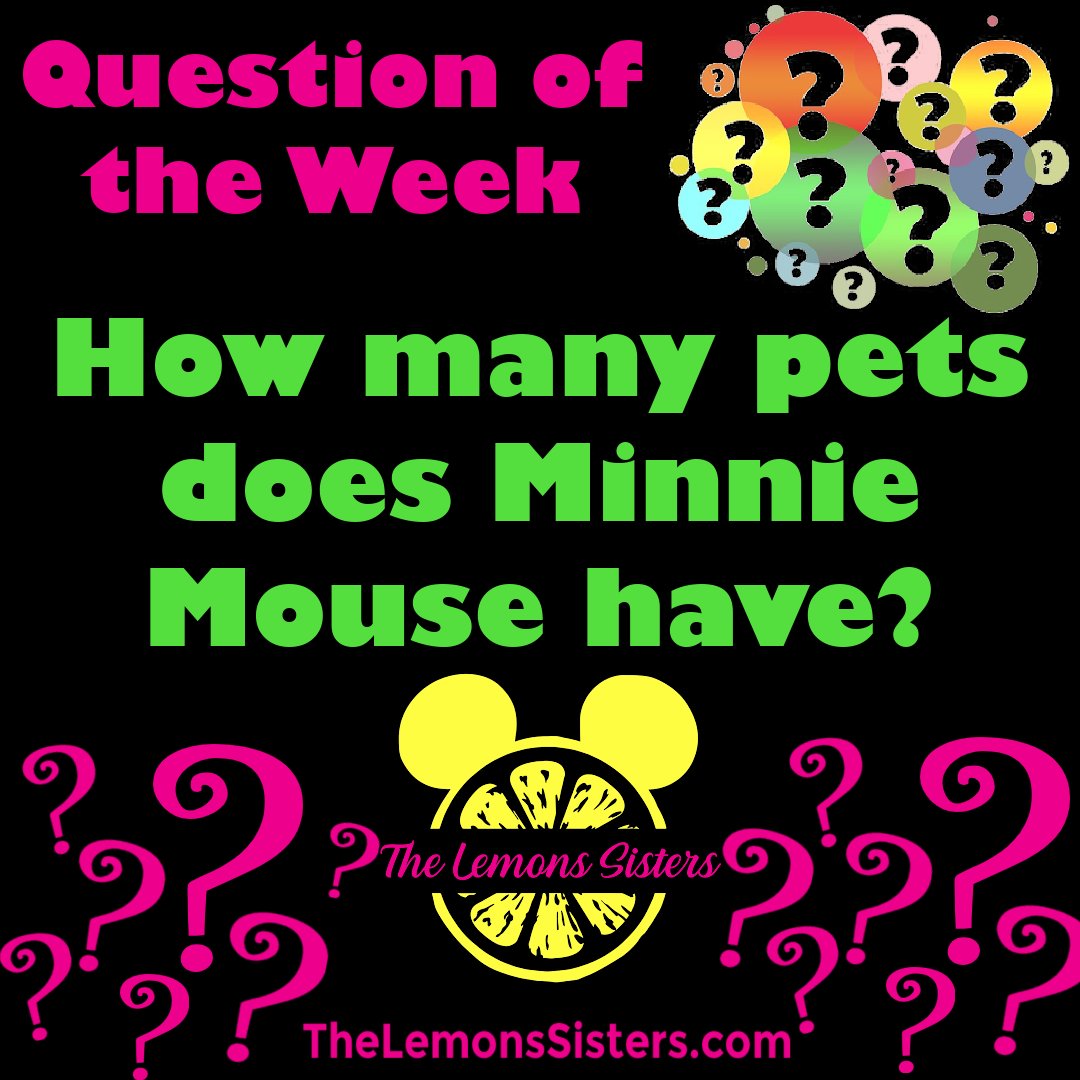 LemonsSisters's tweet photo. Do you know the answer to today's #questionoftheweek?  Bonus points if you can give their names.  NO Googling #minniemouse #disneypets #themoreyouknow #thelemonssisters #vacationwithleann https://t.co/3KmxgL416p