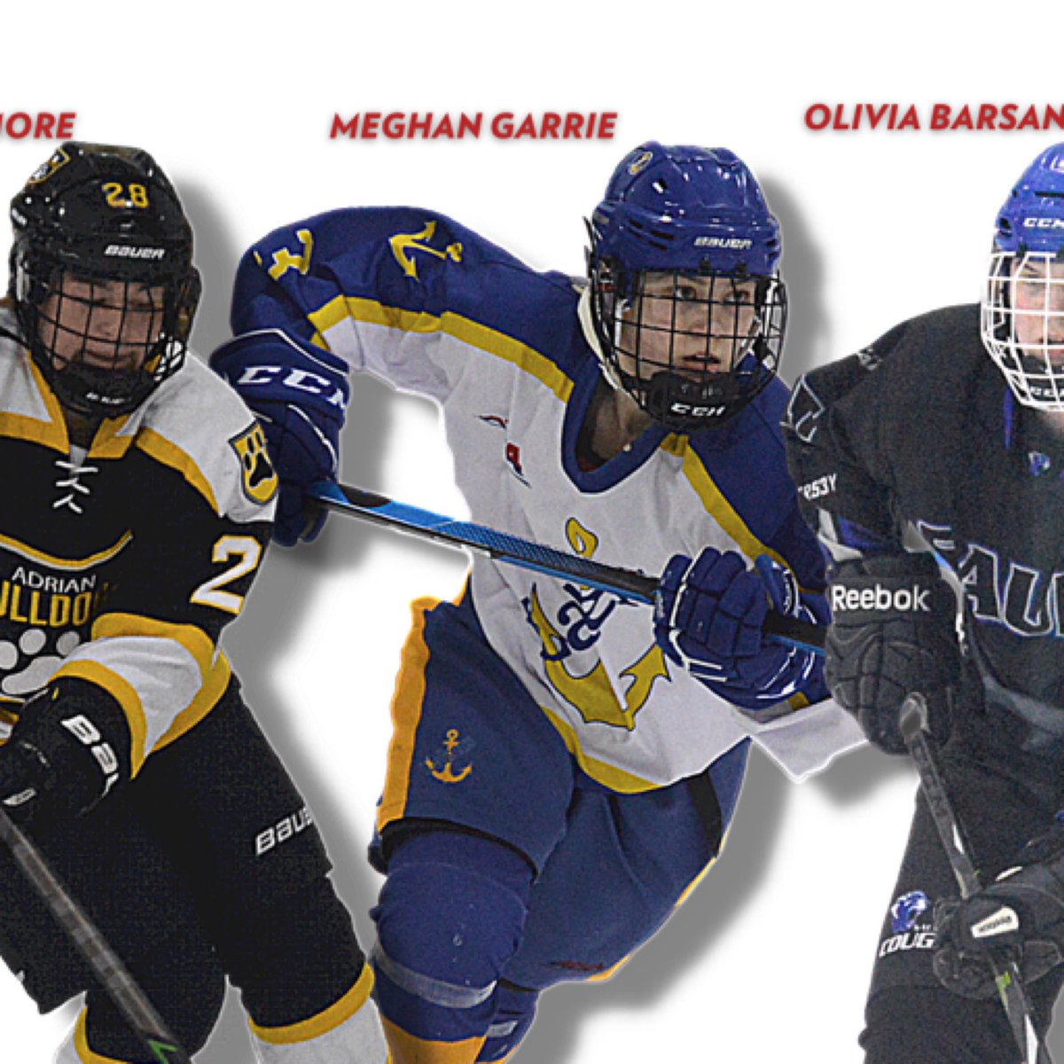 CCWHA Division 2 tweet media