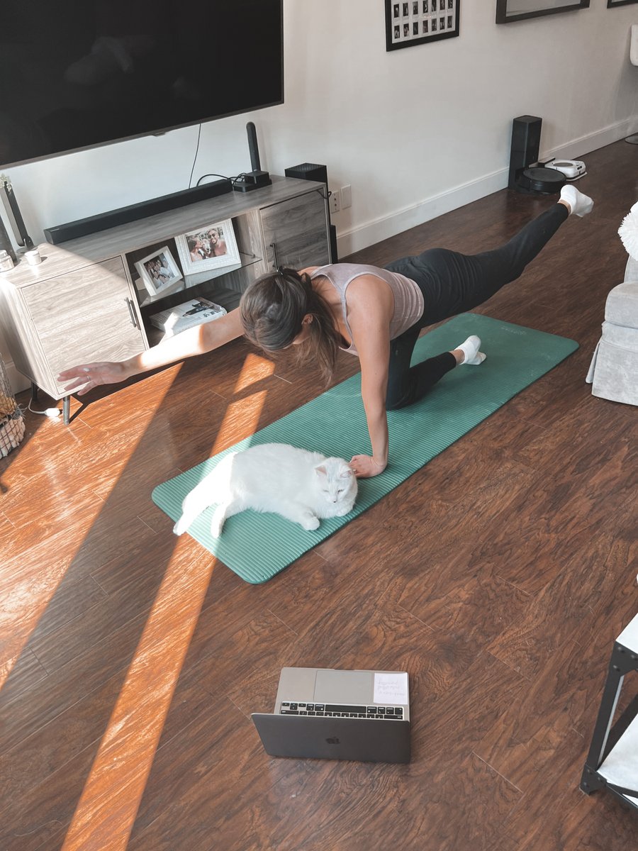 We put the "zen" in Zennify!

Every other Wednesday we offer an hour long yoga class! All employees are welcome to hop on the zoom call.

Today, Ziggy is helping us learn the "cat" pose! 😹😹

#Zennify #OfficeYoga