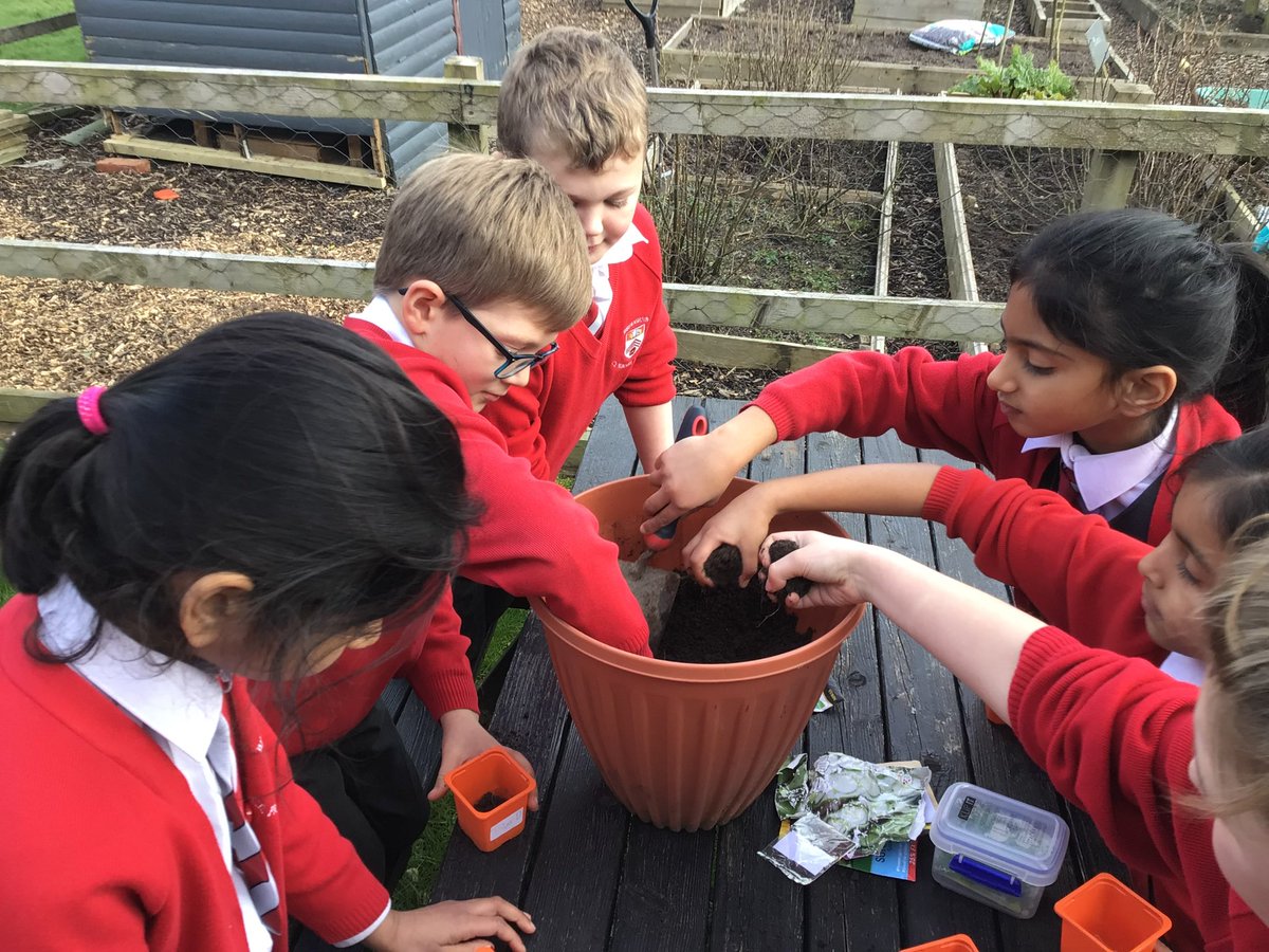 Broughton CE Primary tweet media