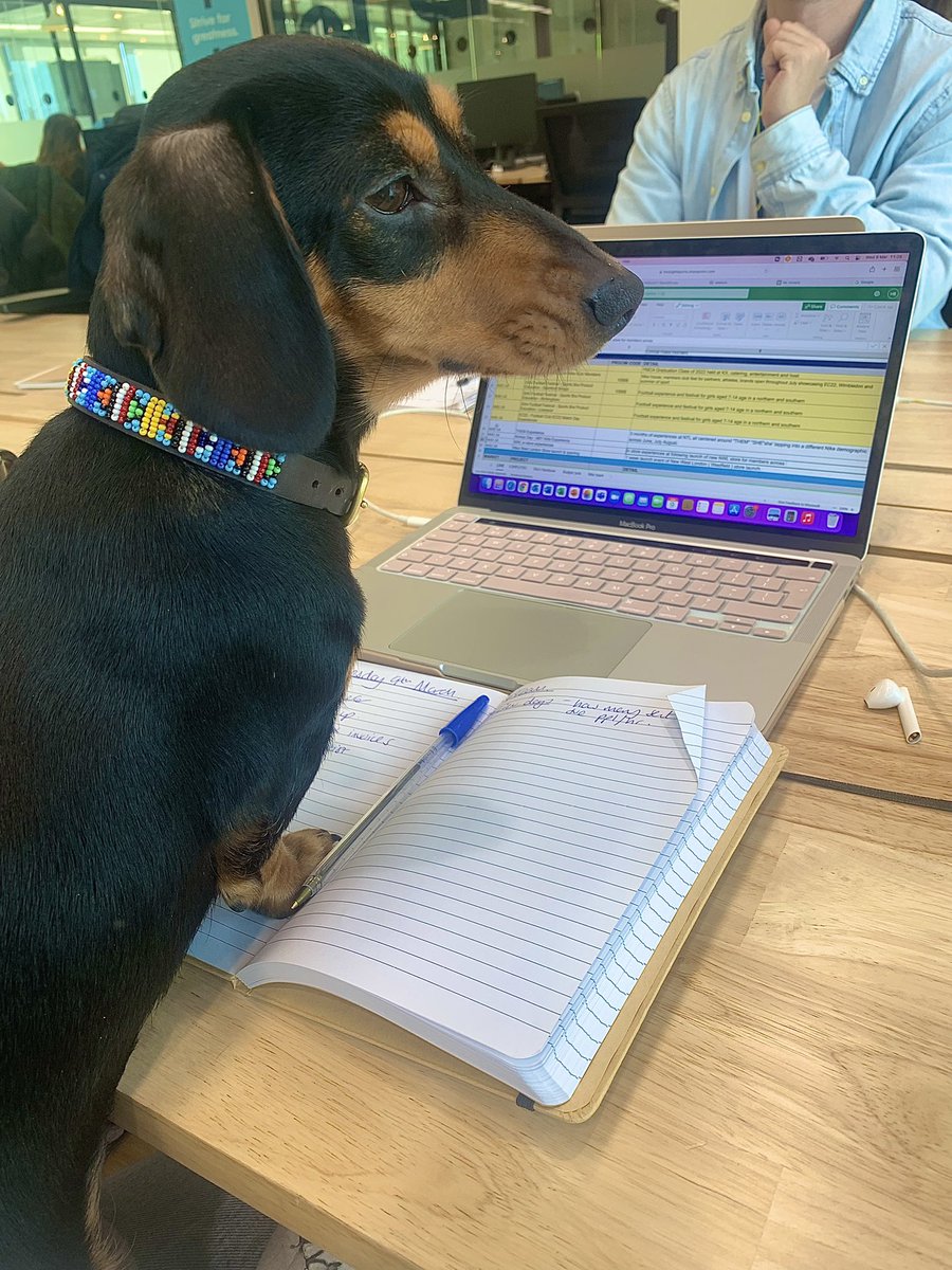 holsakb's tweet photo. Back with a bang after 3 months off on Maternity Pup leave…Dotty means business  @Nike #sausagedog #backtowork #london #officegirl #dogsoftwitter #puppylove https://t.co/2YnzLRxKMZ