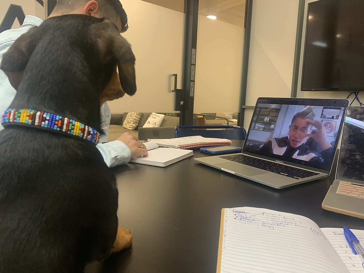 holsakb's tweet photo. Back with a bang after 3 months off on Maternity Pup leave…Dotty means business  @Nike #sausagedog #backtowork #london #officegirl #dogsoftwitter #puppylove https://t.co/2YnzLRxKMZ