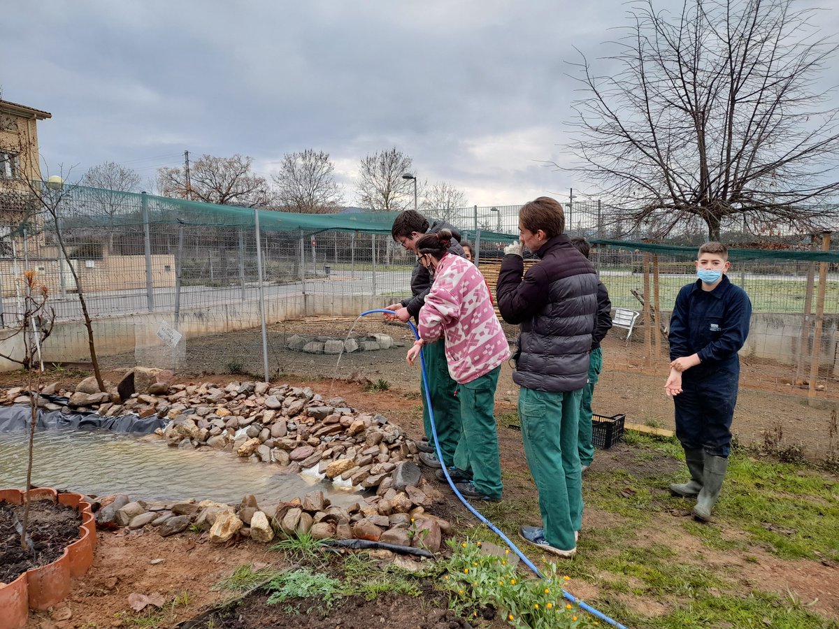 Alex_Pereznav's tweet photo. 2aFase: Plantem bulboses; boniques tulipes al voltant del petit eco-estany elaborat per alumnes #IFEpower de @INS_Pla_Marcell. Pretenem atreure biodiversitat, polinitzadors pel nostre hort i contribuir de forma efectiva i sostenible a les xarxes tròfiques del nostre entorn 🌱🪱🐞 https://t.co/ujVCcmfP6p