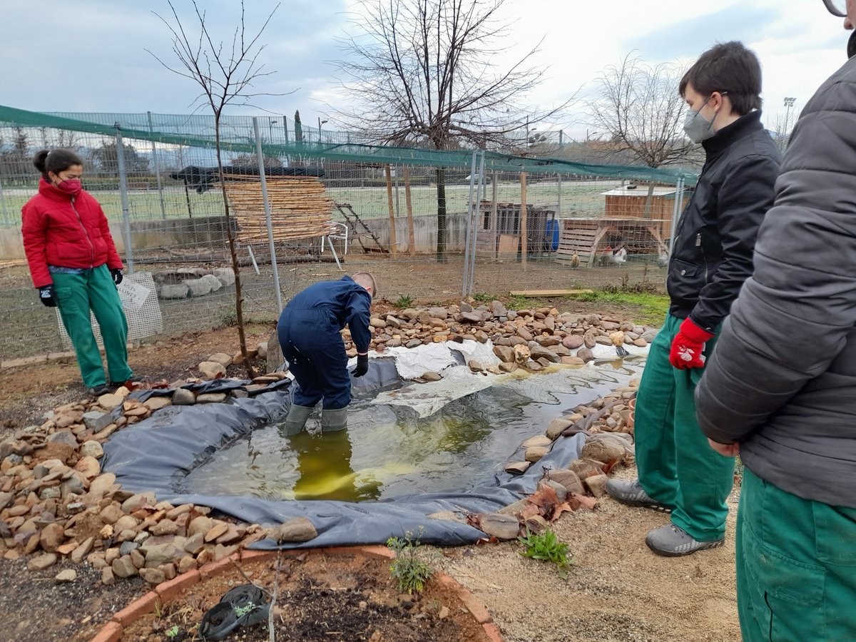 Alex_Pereznav's tweet photo. 2aFase: Plantem bulboses; boniques tulipes al voltant del petit eco-estany elaborat per alumnes #IFEpower de @INS_Pla_Marcell. Pretenem atreure biodiversitat, polinitzadors pel nostre hort i contribuir de forma efectiva i sostenible a les xarxes tròfiques del nostre entorn 🌱🪱🐞 https://t.co/ujVCcmfP6p