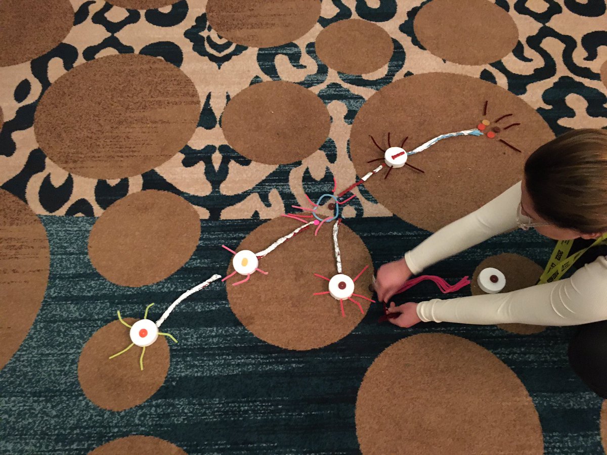 PinyaBananas's tweet image. Playing with the brain #sxswedu #edscience #practicalresearch