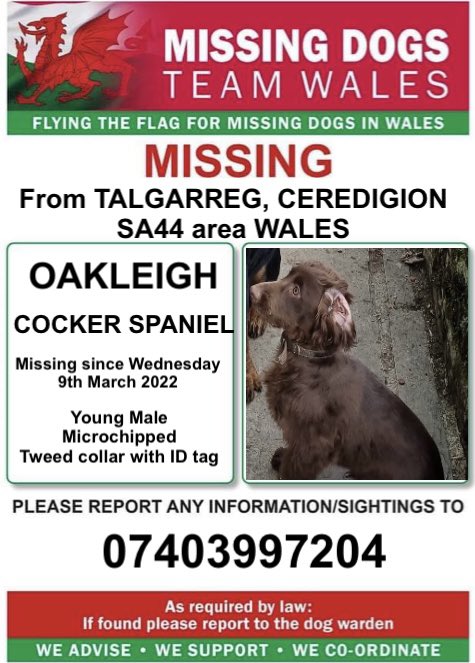 missingdogwales's tweet photo. ‼️OAKLEIGH MISSING FROM TALGARREG, CEREDIGION, SA44 area WALES ‼️

Wednesday 9th March 2022

🔺Microchipped and wearing a Tweed collar with ID Tag
‼️Please look out for him and ring number on poster if seen or you have any information ‼️ #missingdogsteamwales https://t.co/9k5j9Z3wG6