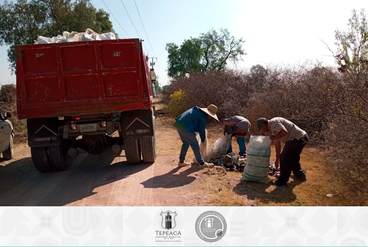 SMyPCTepeaca's tweet photo. #Informamos l En temas de salud, te informamos que se realizó apoyo a la recolección de residuos en el camino real ubicado en San José Zahuatlán y Guadalupe Calderón, con el fin de contribuir al medio ambiente y así los ciudadanos cuenten con espacios más saludables.
#Informacion https://t.co/iSrH5EF5qb