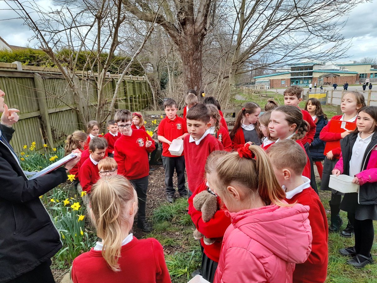 AcademyWalton's tweet photo. Class 5 had a fantastic time in the forest school today,  learning about our pond and wildlife. They enjoyed the activities, especially pond dipping.  Can you spot the frog? 💚🐸🌳
#WPAForestschool
#WPAScience
#WPAOutdoorlearning
#outdoorlearning 
@WatertonTrust 
@WkfdOfficial https://t.co/1Hcwqaf3k5