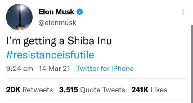 ShibalnuNews's tweet image. 👀 @elonmusk
