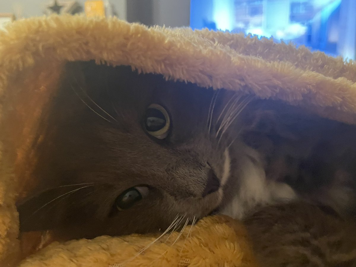 Bubbles playing hide and seek  ❤️