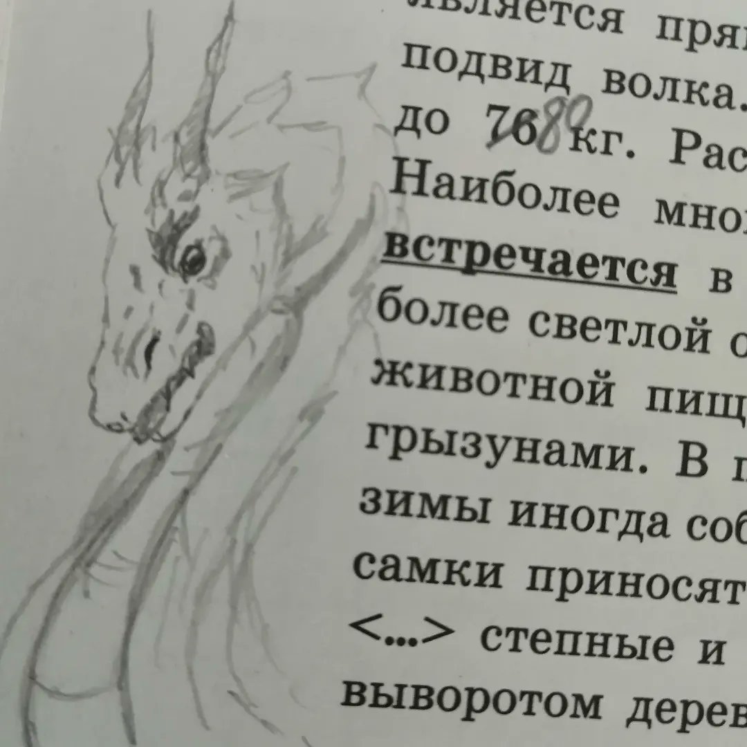 CLIV_KA's tweet photo. Сегодня негусто ᘛ⁐̤ᕐᐷ https://t.co/q8gAYvCioP