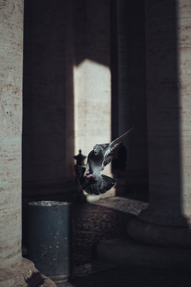gn #NFTCommunity #streetphotography