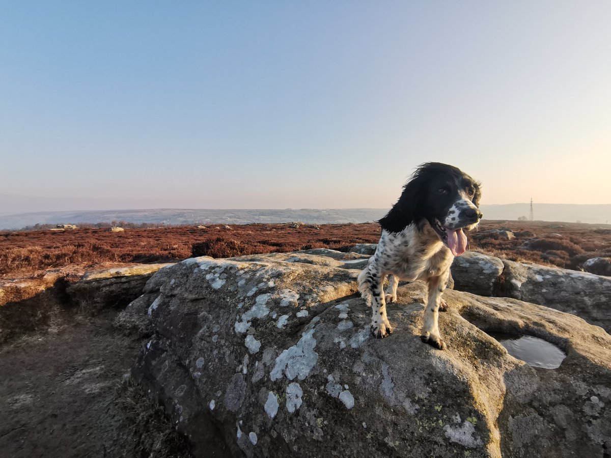 Anna Corn tweet media