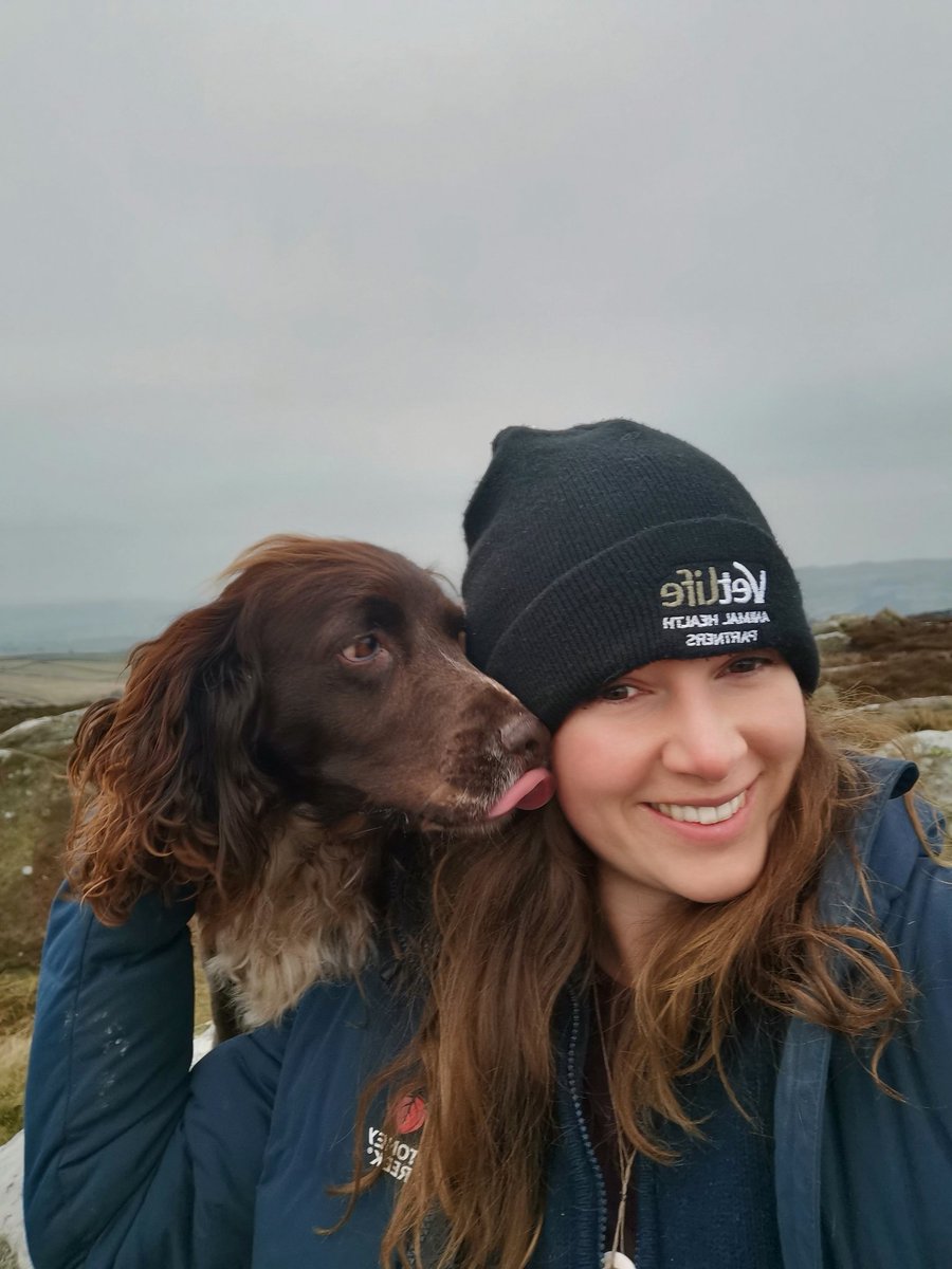 Anna Corn tweet media